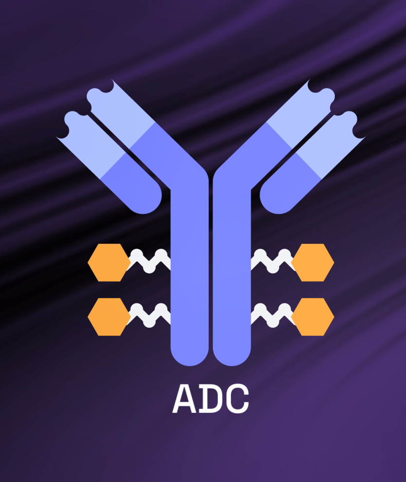 Antibody Drug Conjugate molecule