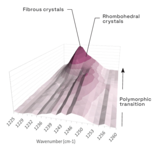 Raman spectroscopy of a polymorphic transition