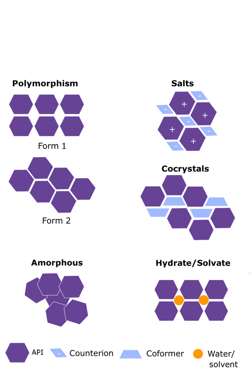 Structure of polymorphs, salts and cocrystals