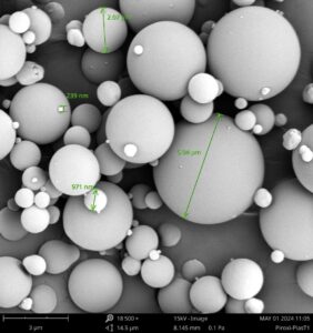 Piroxicam-Plasdone Amorphous Solid Dispersion Observed with Scanning Electron Microscopy