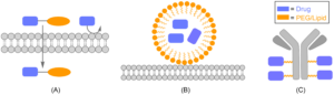 PEG/Lipid delivery system