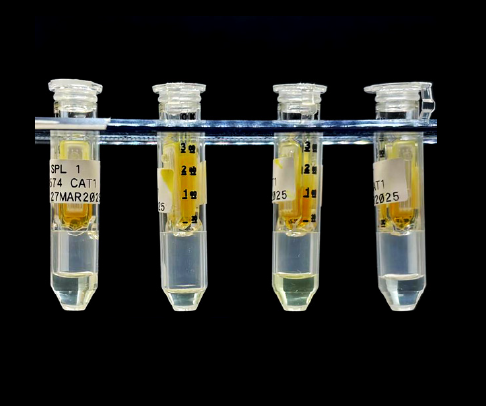 Plastic vials