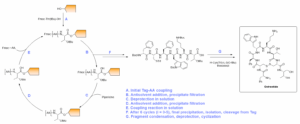 Diagram to show synthesis of Octreotide