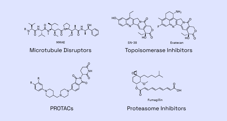 Payload molecules